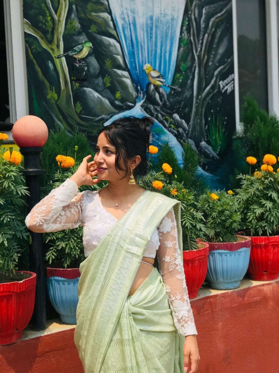 sarbagya.parajuli