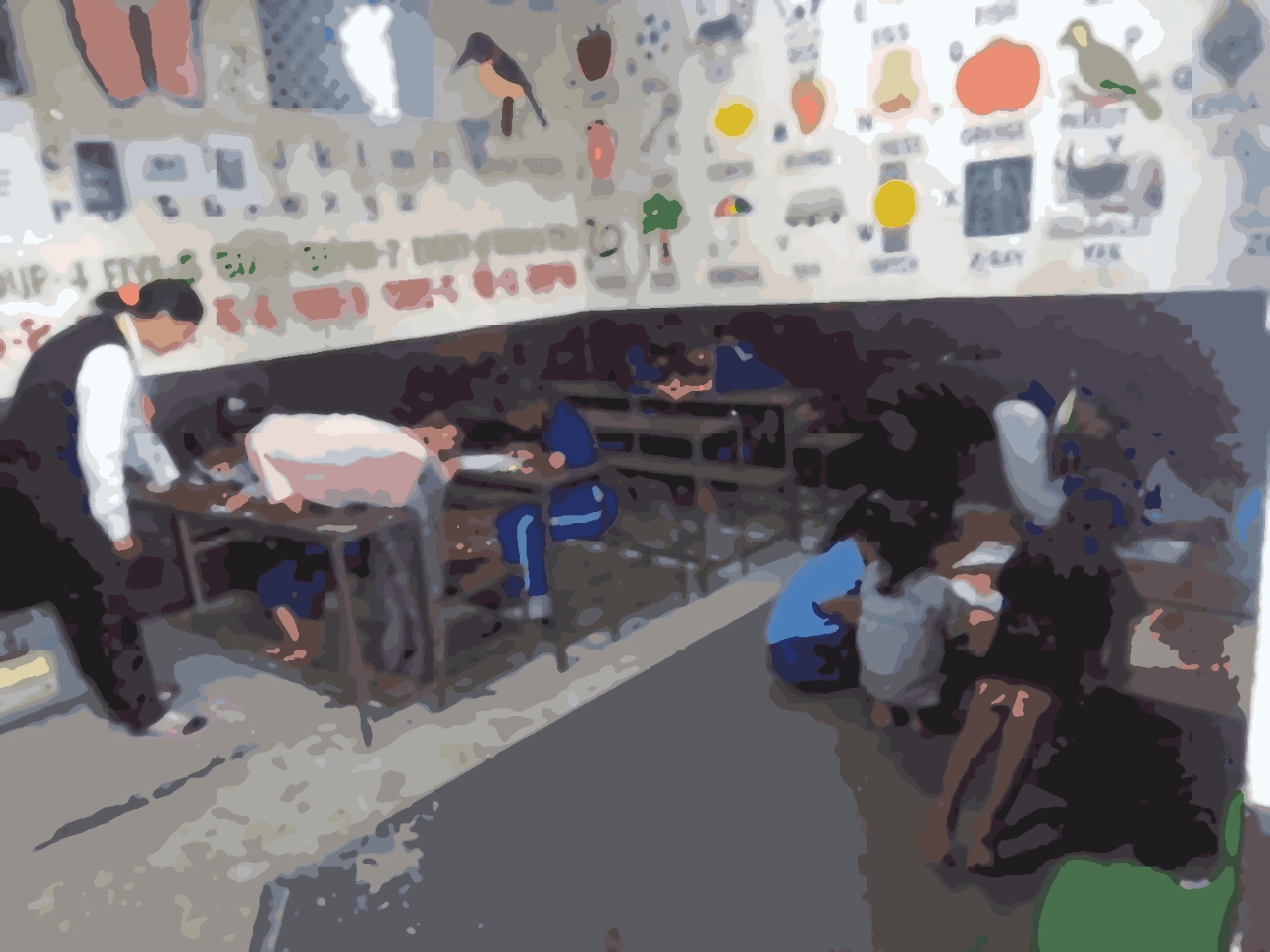 Nil Barahi Basic School