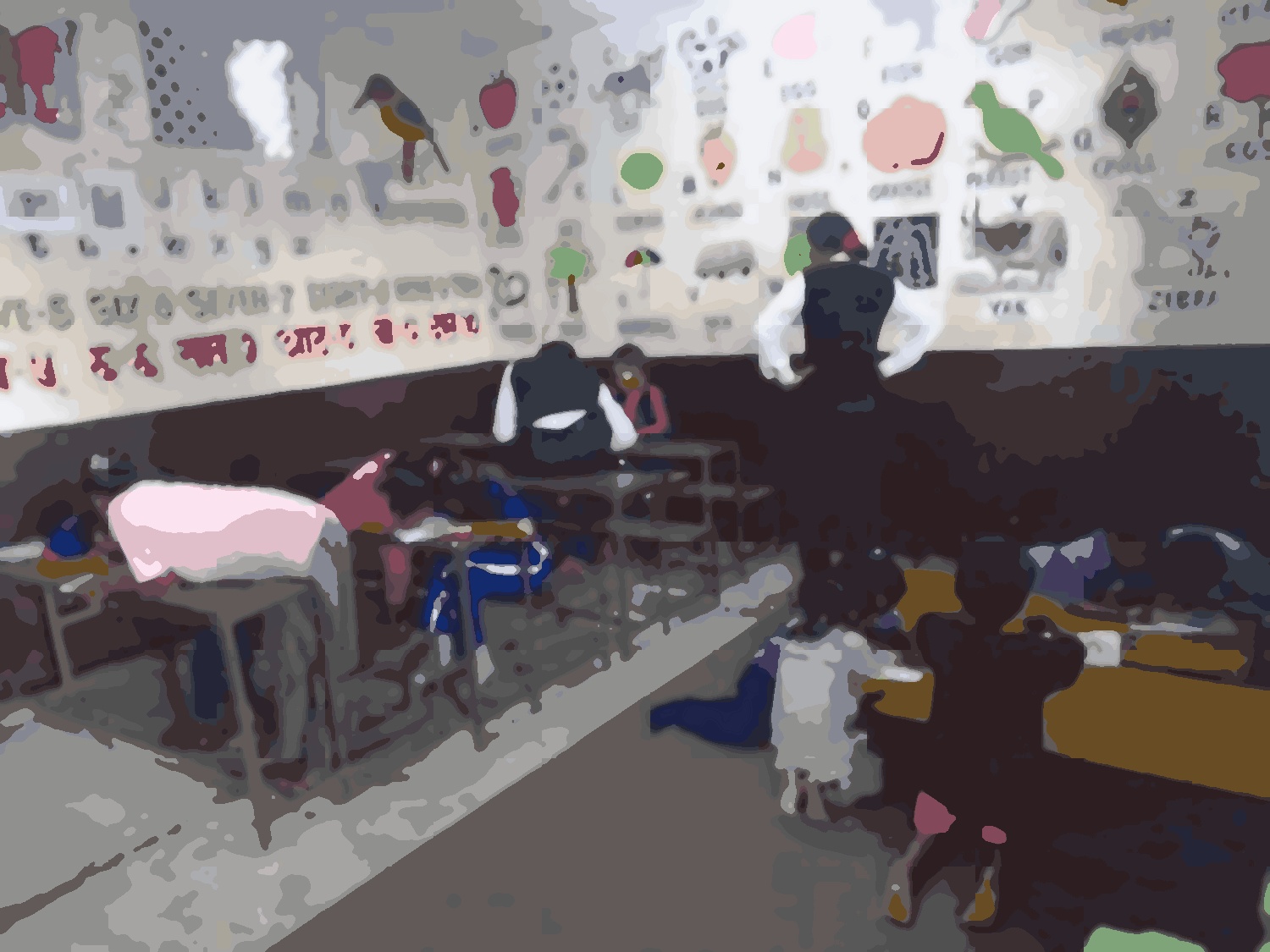 Nil Barahi Basic School