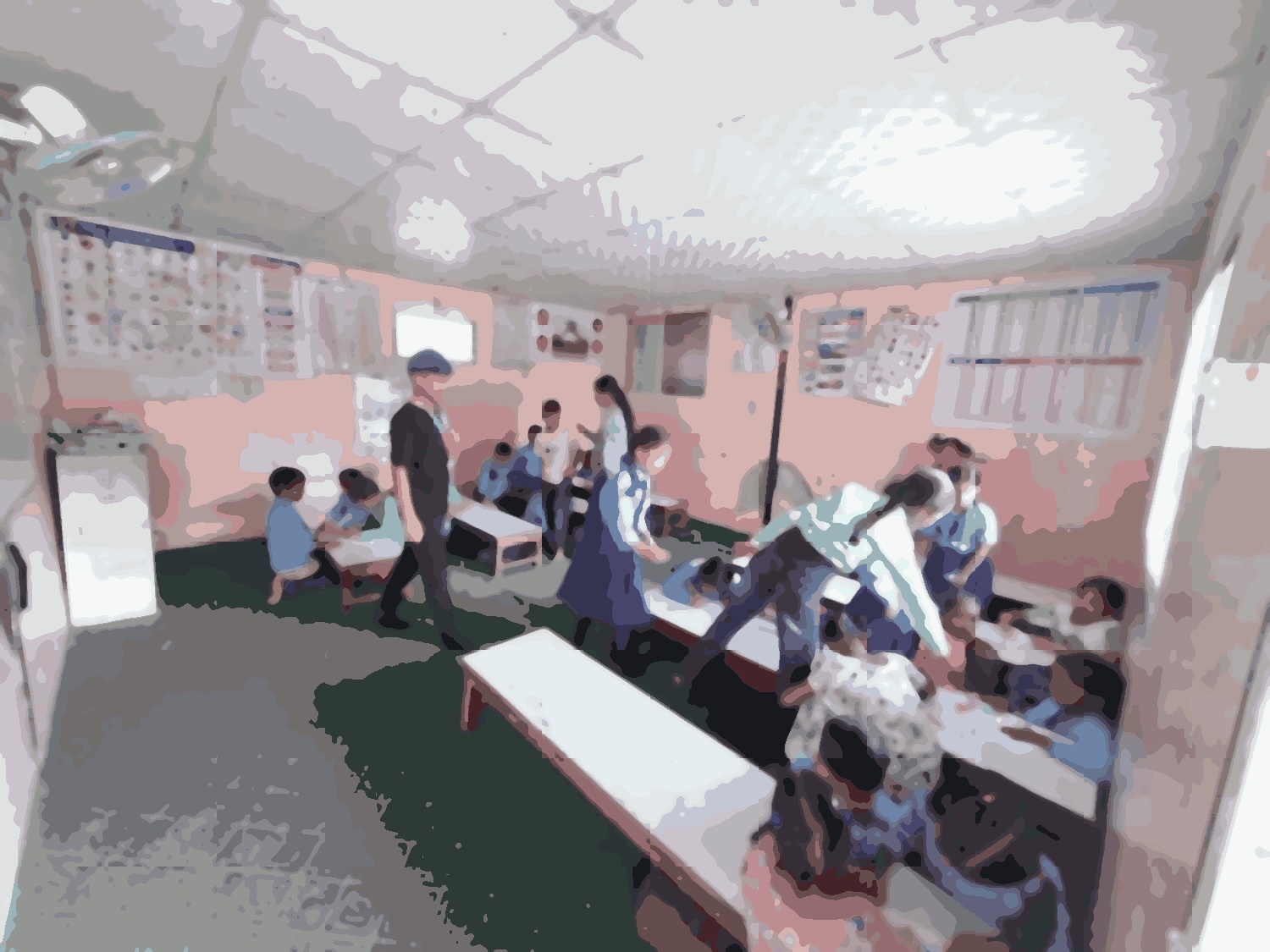 Shree Gyan Bikash School