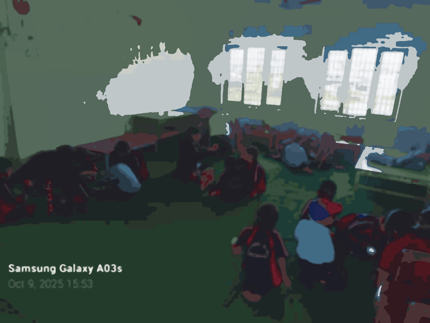 Shree Mahendra Basic School