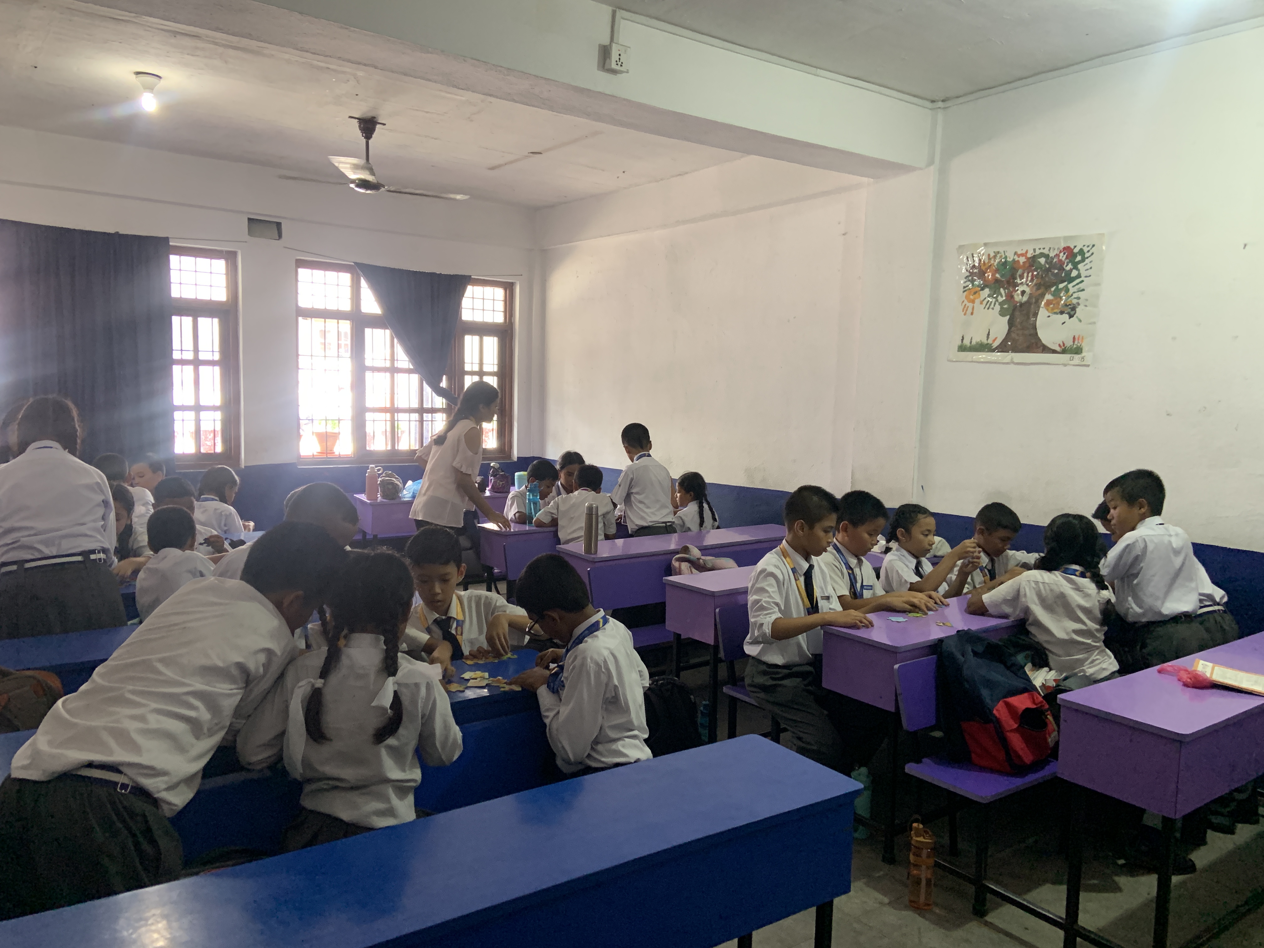 Arunima Secondary School Boudha