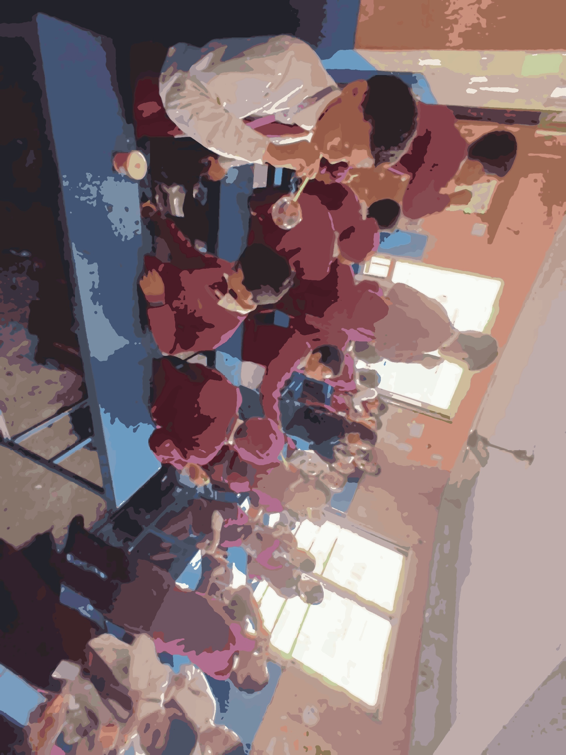 Camelia Secondary School