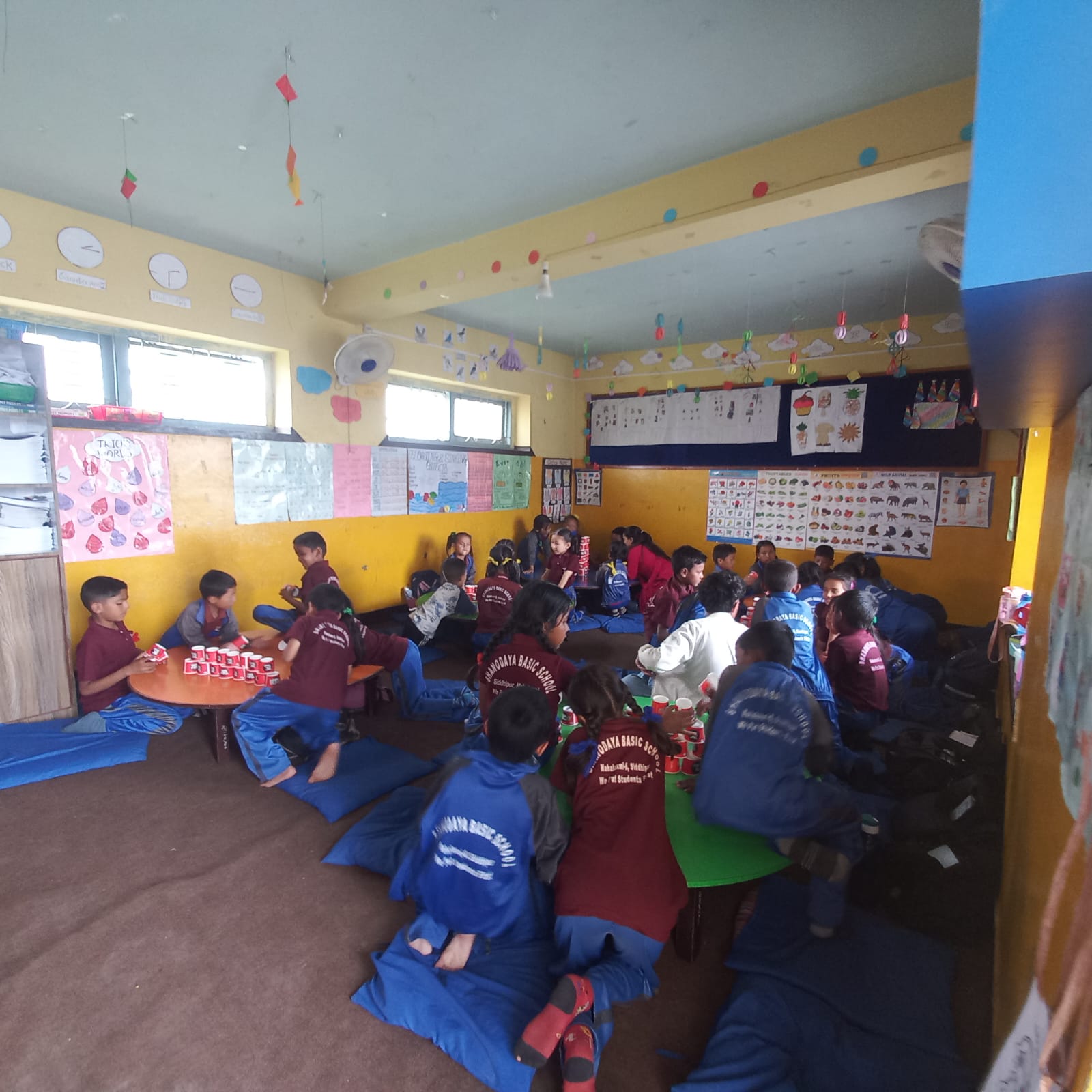 Bhanodaya Basic School