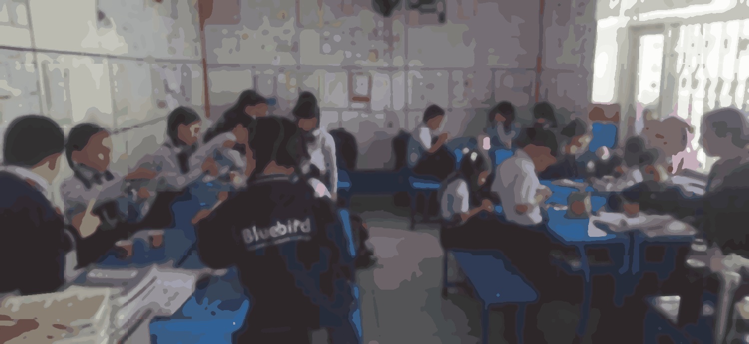 Bluebird Secondary School