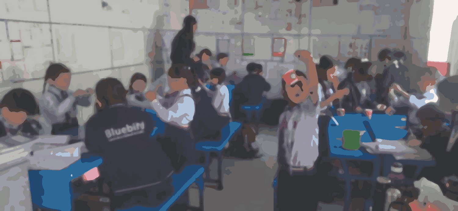 Bluebird Secondary School