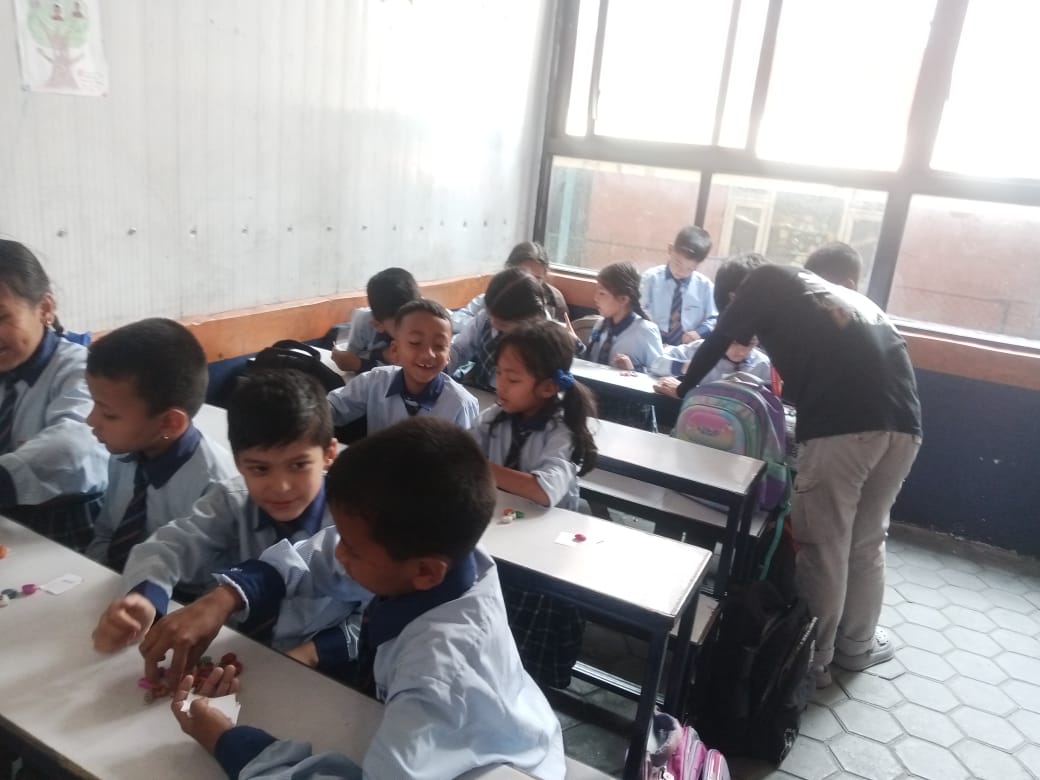 Shine model school