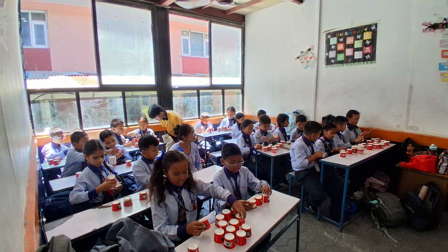 Shine model school