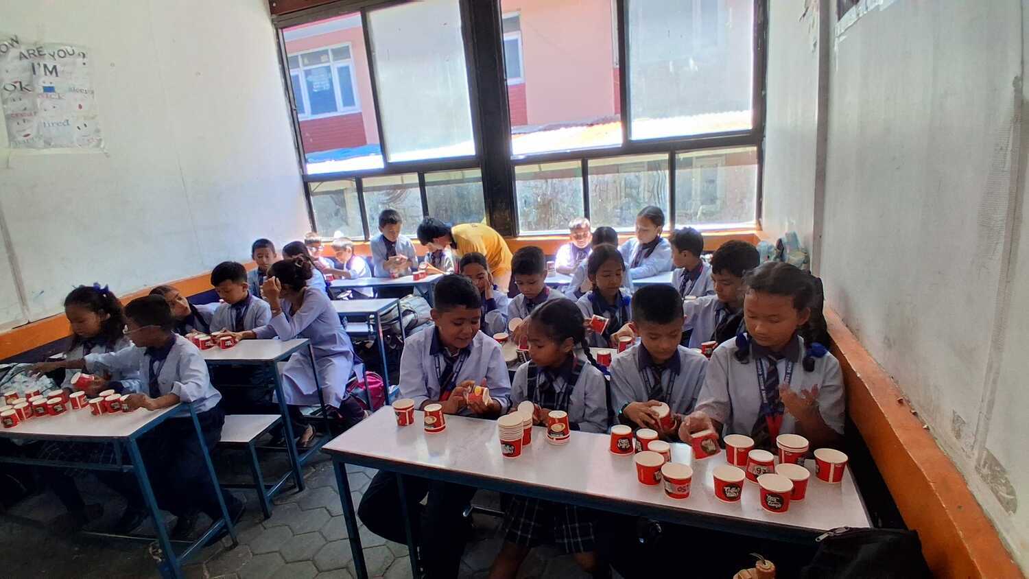 Shine model school