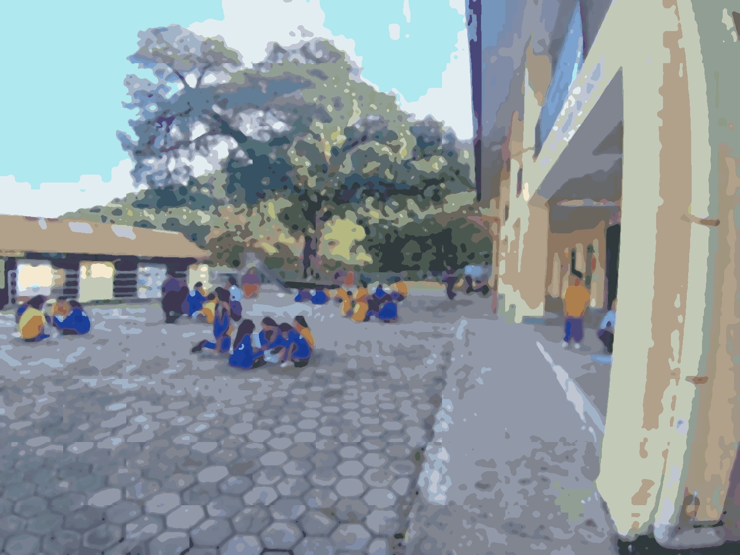 Shree Saraswoti basic school