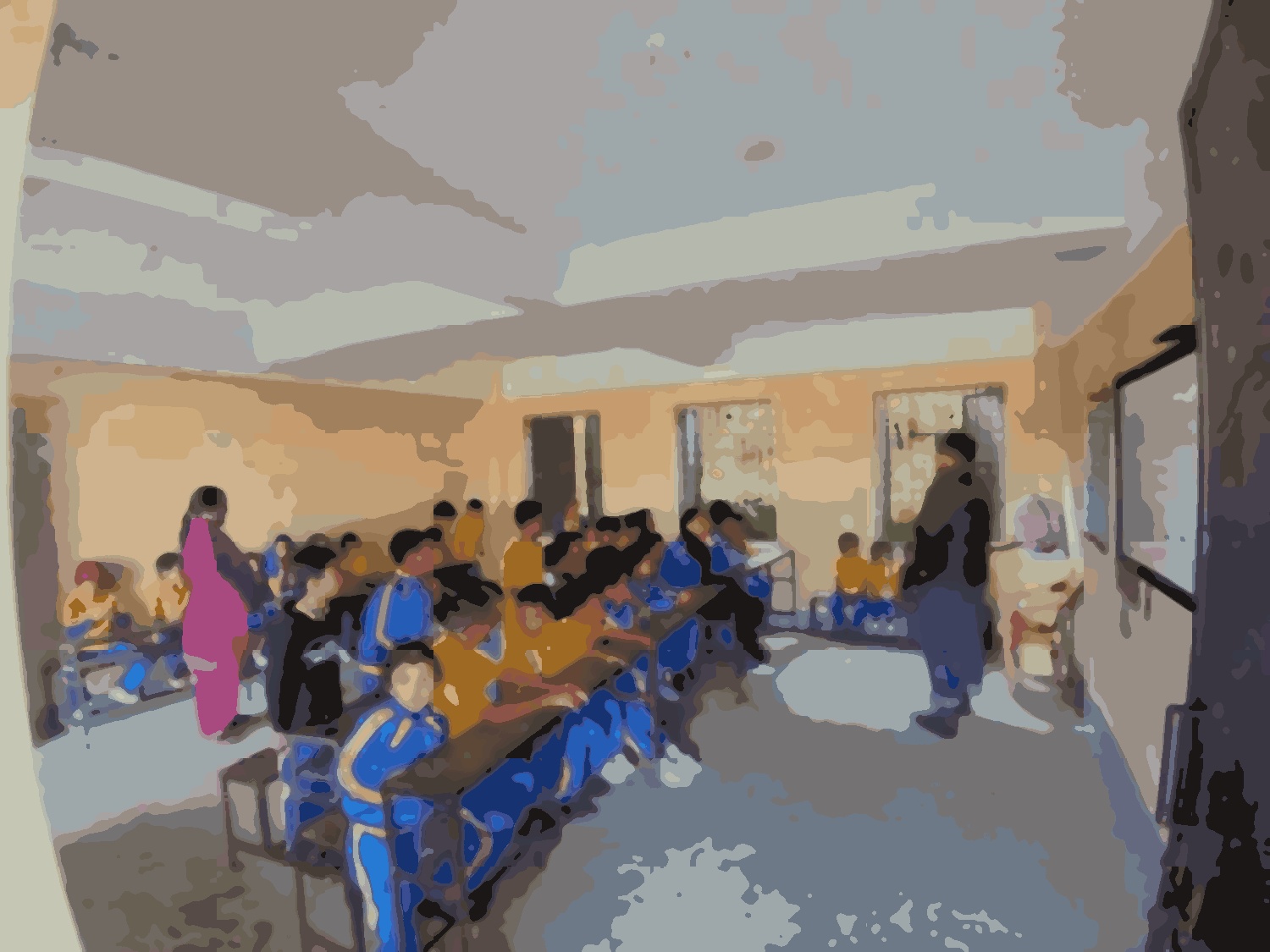 Shree Saraswoti basic school