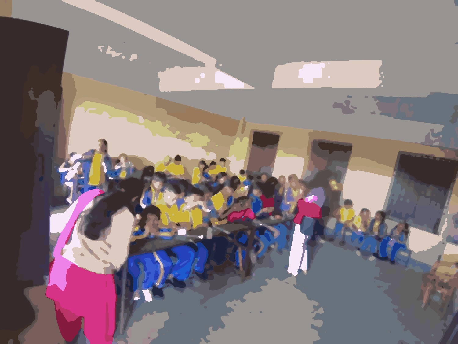 Shree Saraswoti basic school