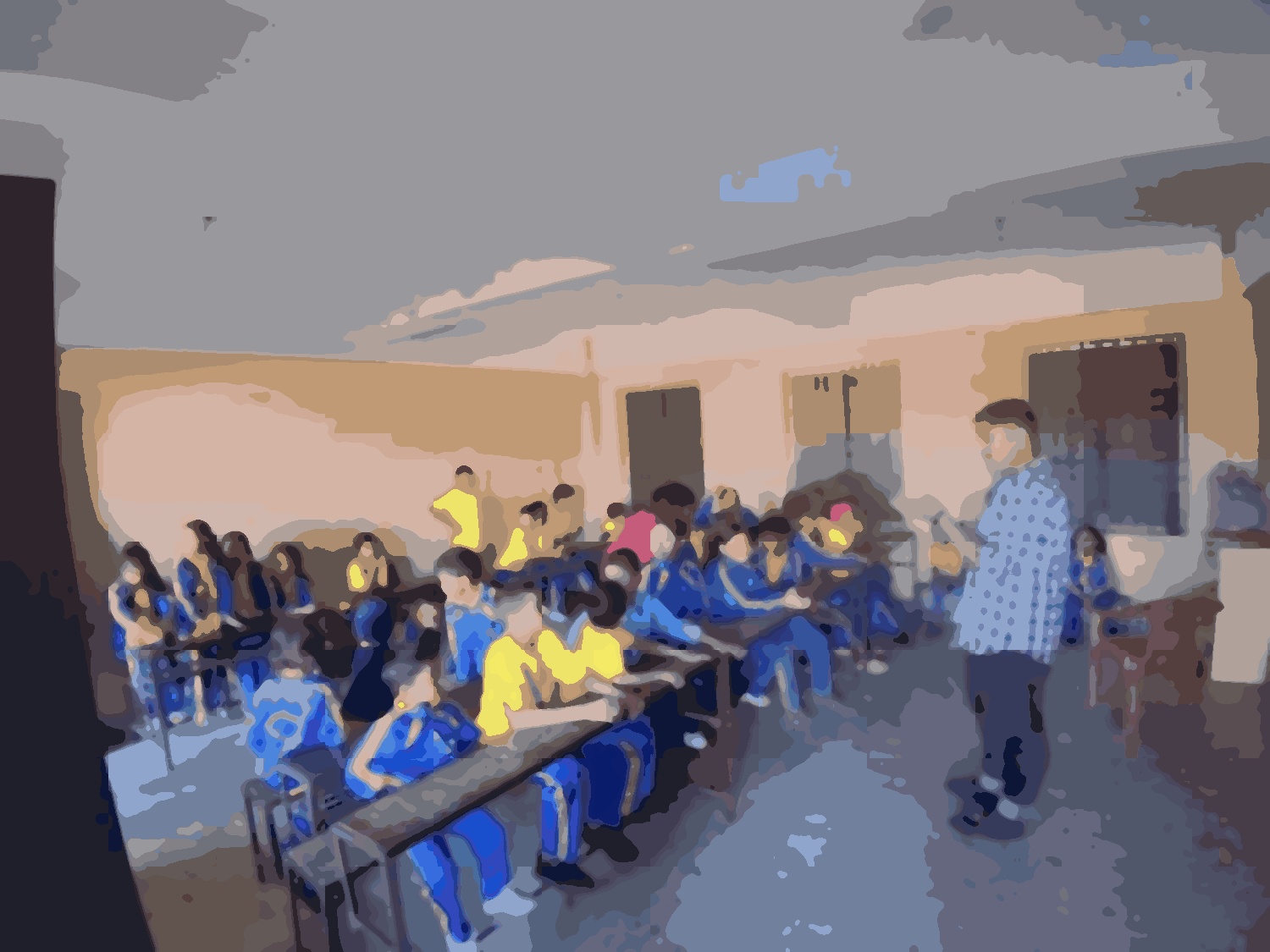 Shree Saraswoti basic school