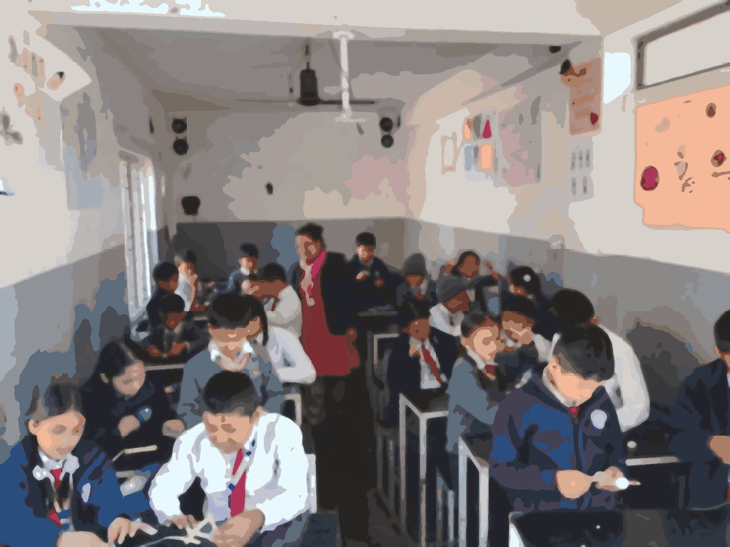 Wisdom English Academy